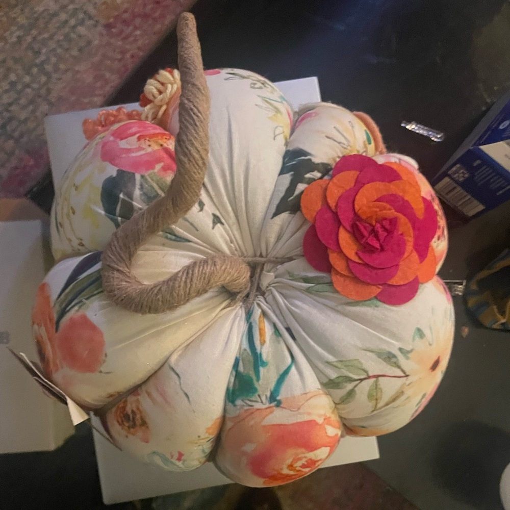 Really cute fabric pumpkin decor pillow accent - Picture 3 of 5